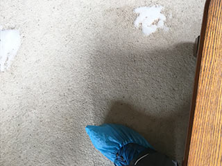 Commercial Carpet Cleaners Near Me
