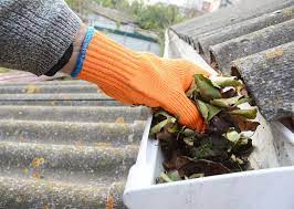Gutter Cleaning Near Me